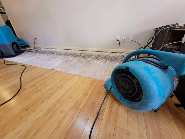 Professional Basement Flood Cleanup technician working in Goldendale, WA